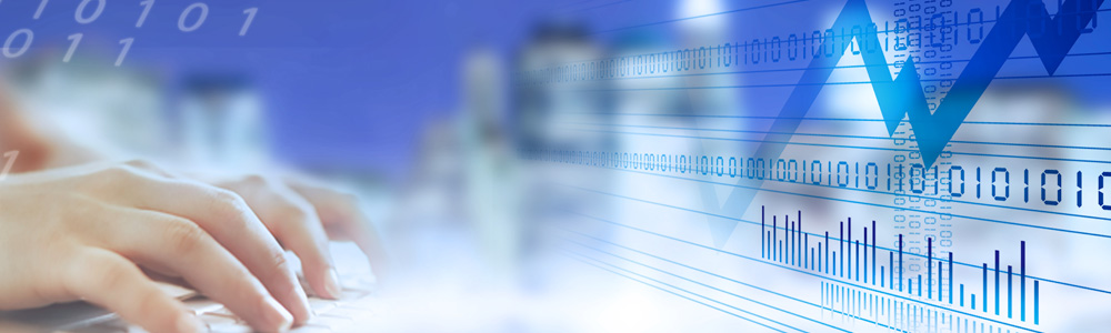 Licence en Business Computing (Informatique de Gestion)